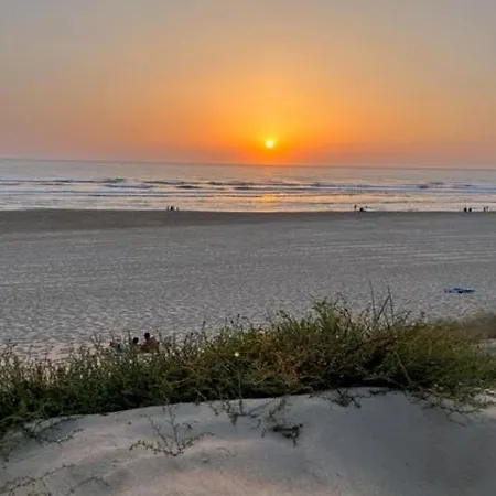 Ocean Lodge_plage Bourdaines * Seignosse